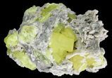 Sulfur Crystals on Matrix - Italy #92614-1